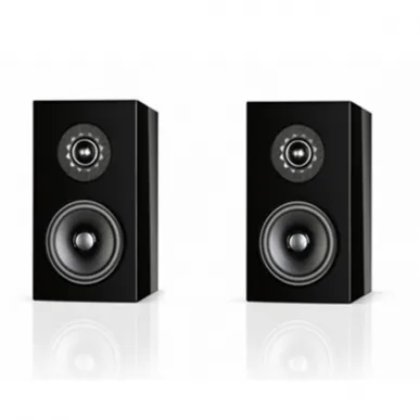 Полочная акустика AUDIO PHYSIC CLASSIC COMPACT Black Ash
